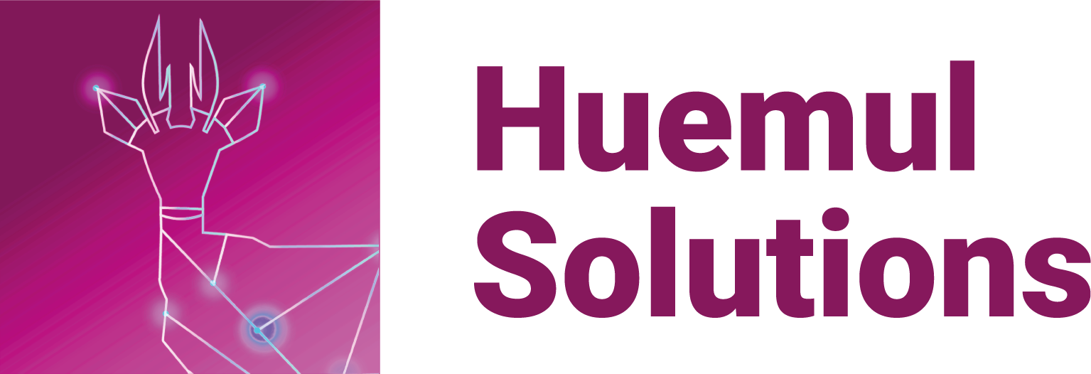 Huemul Solutions